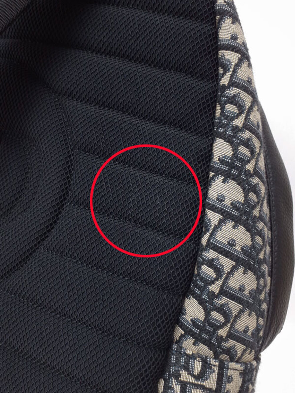 Christian Dior Oblique Rider Backpack - Picture 5 of 9